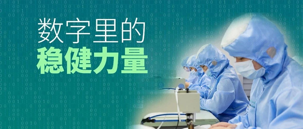 数字里的稳健力量：行动胜于口号，结果兑现承诺！