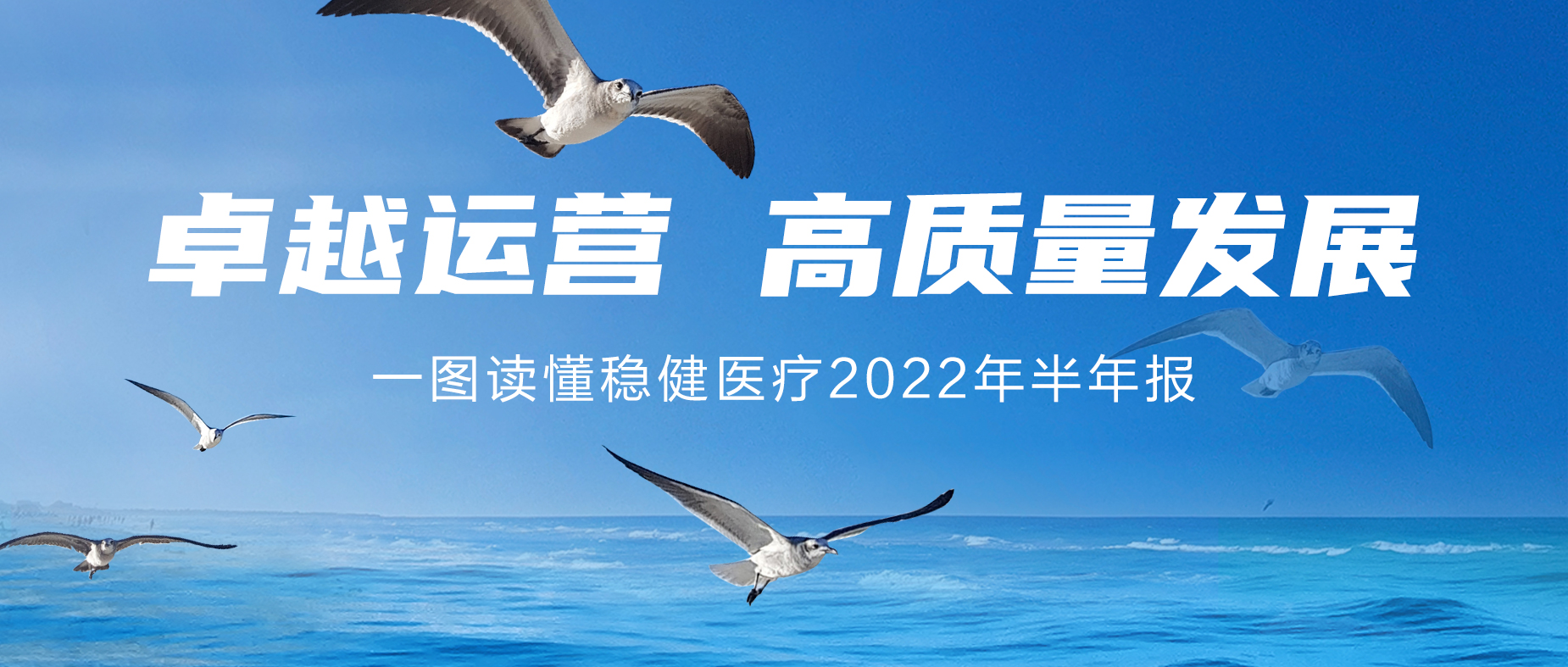 一图读懂稳健医疗2022年半年报