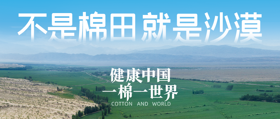 链接世界，引领健康生活，稳健集团受邀亮相首届链博会
