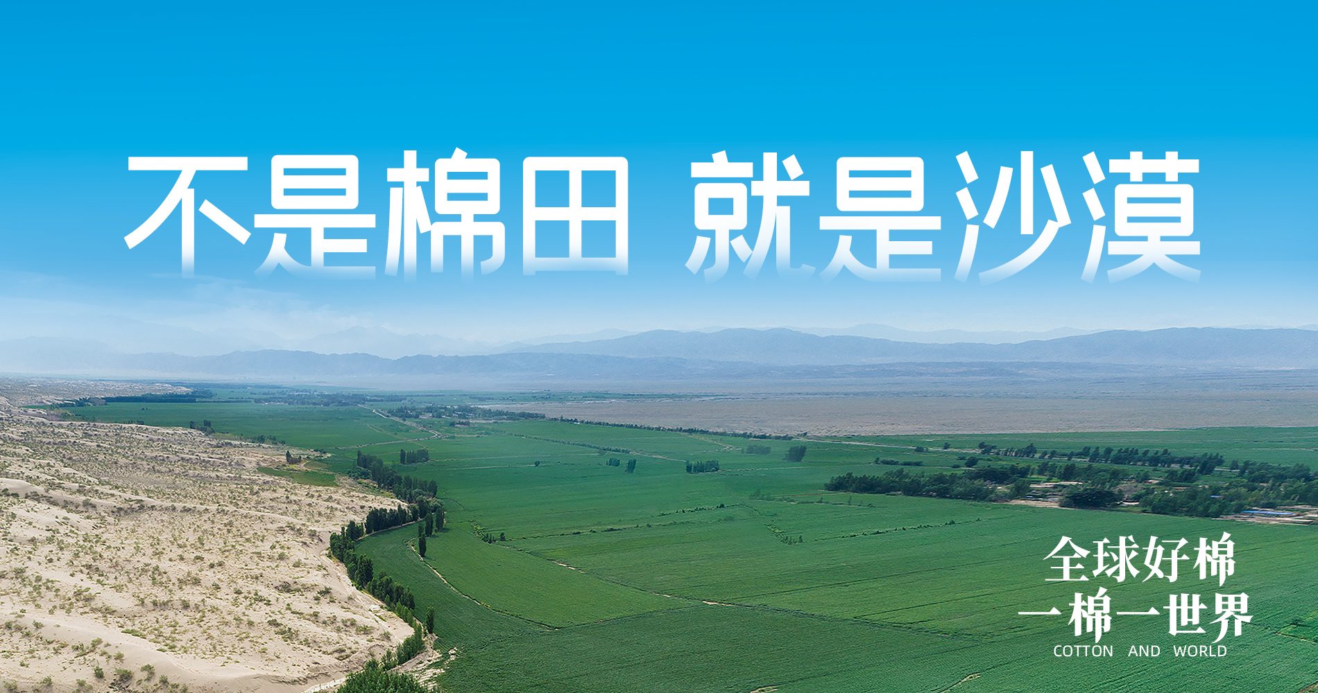 稳健集团董事会多元化政策